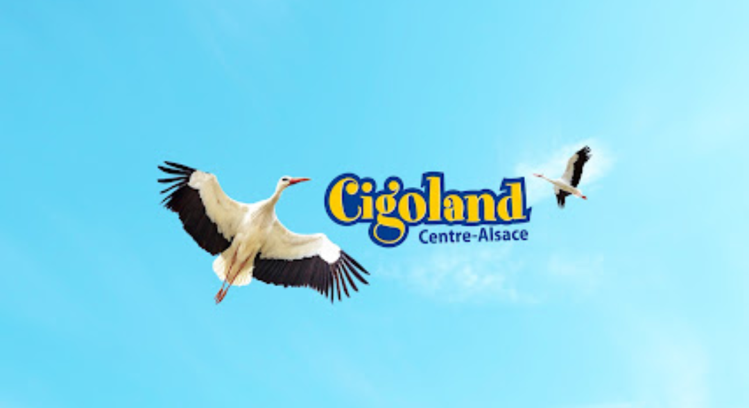 Cigoland