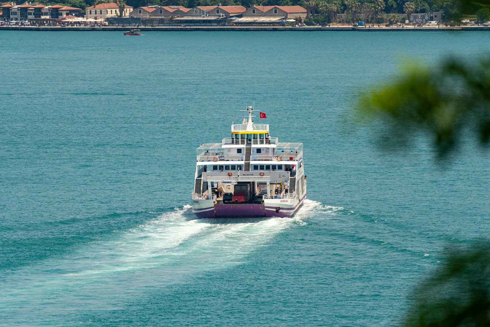 traversée du rhinau